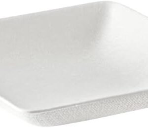 Disposable Plastic Appetizer Plates Mini Dessert Plates